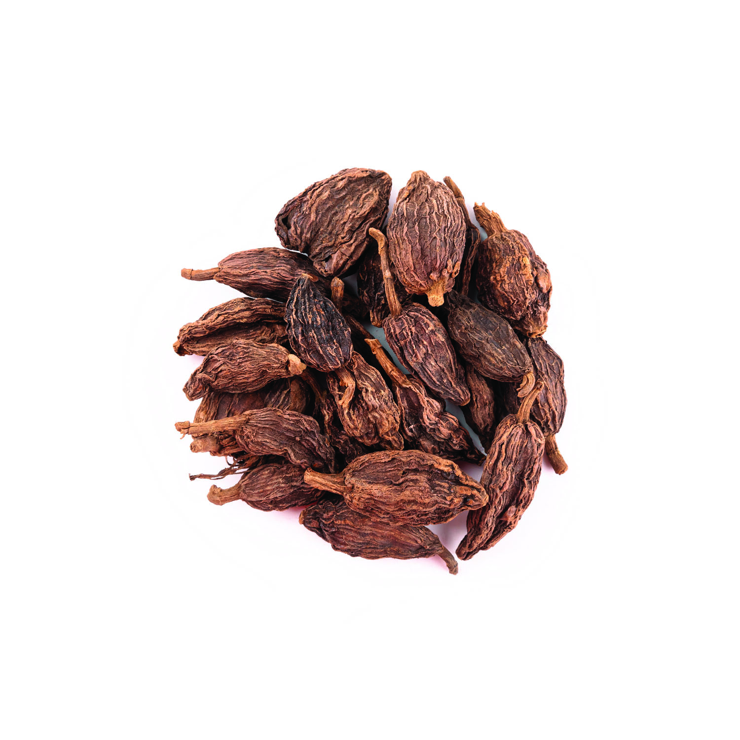 هل حبشی (باد )