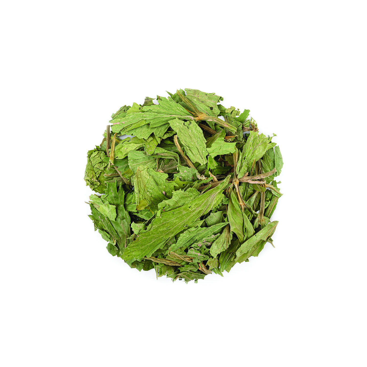 برگ کرفس