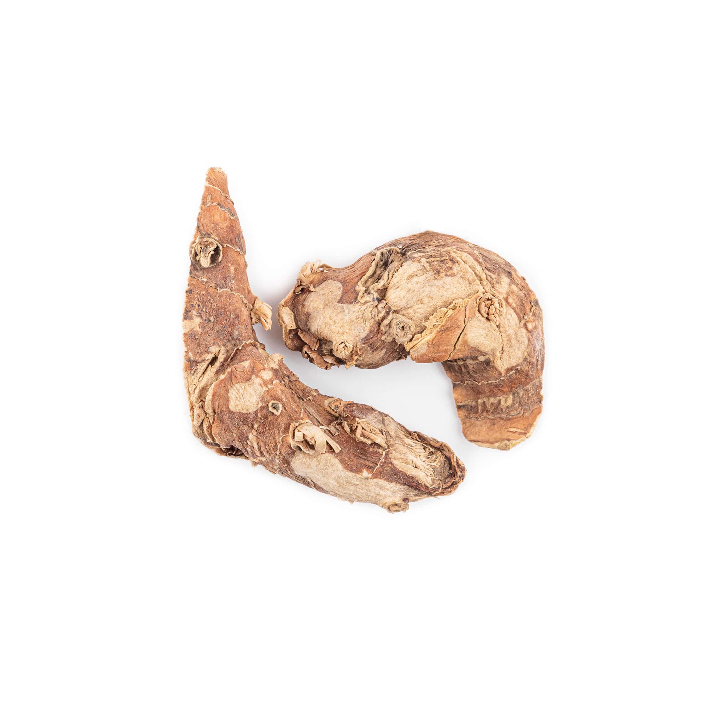 ریشه جوز ( خسرودار )