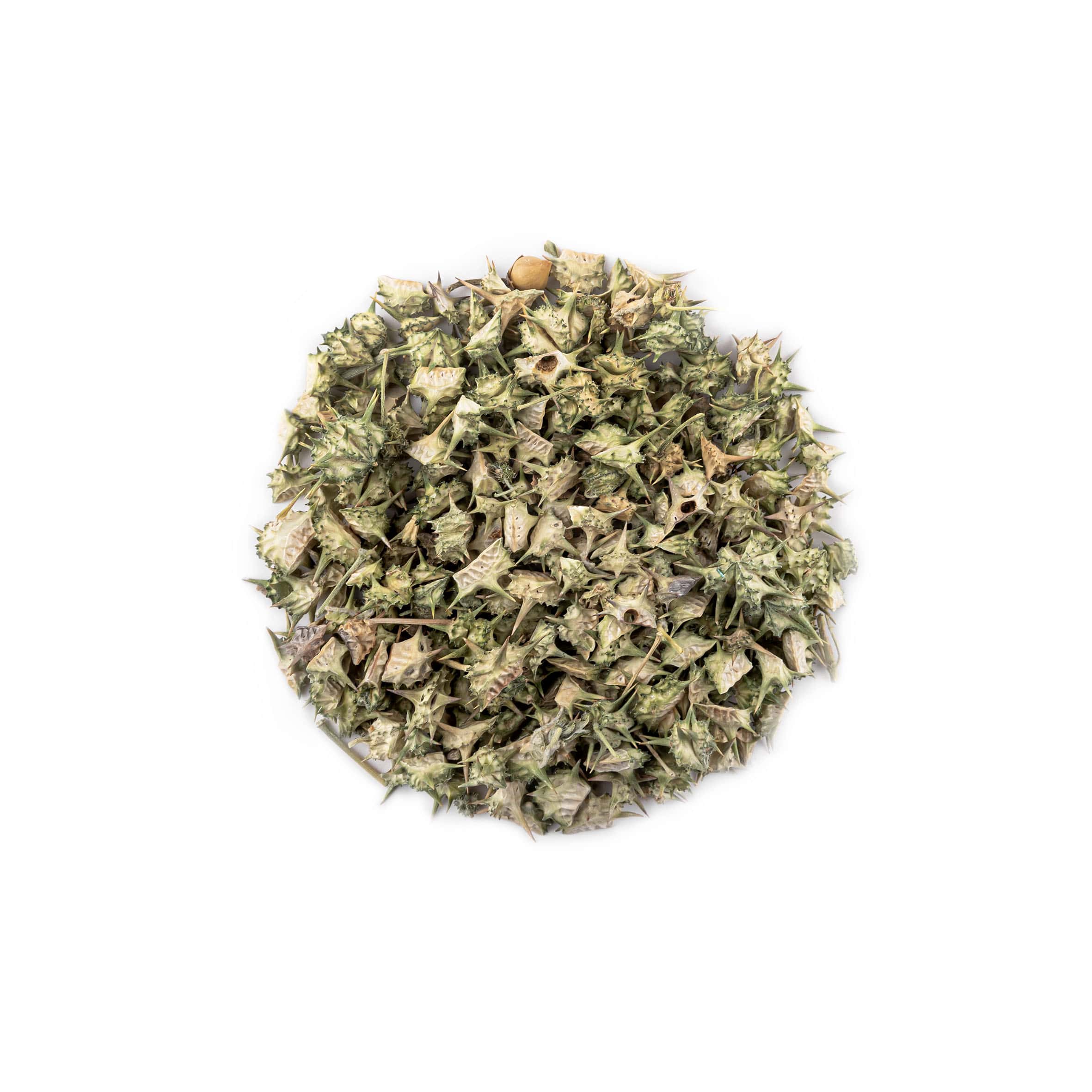 خارخسک