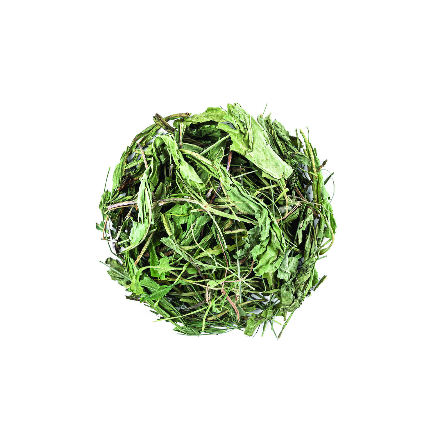 برگ کاسنی
