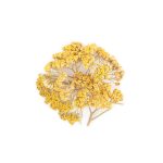 گل زرد (بومادران)