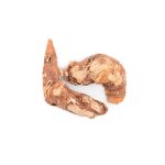 خسرودار (ریشه جوز)