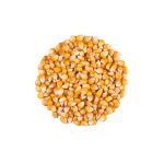 ذرت پاپ کورن