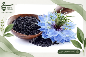 چرا شناخت معیارهای انتخاب گیاهان دارویی اهمیت دارد؟